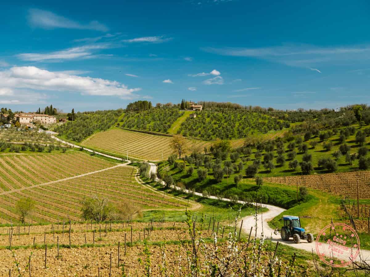 view from castello di ama estate winery