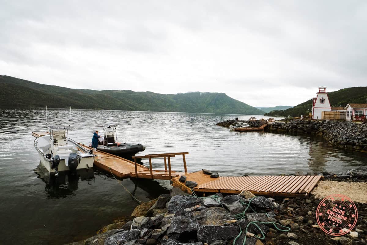wild gros morne zodiac tablelands boat tour