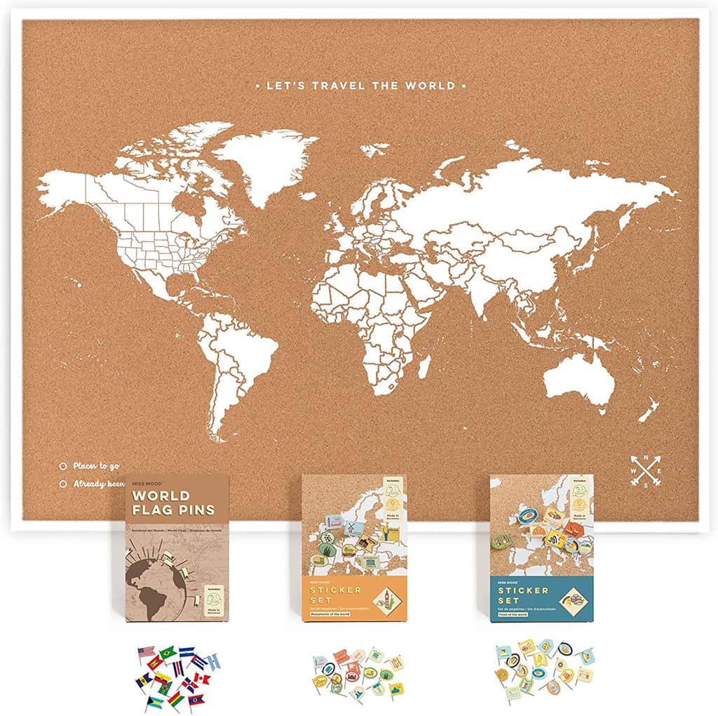 world map with pins cork board kit